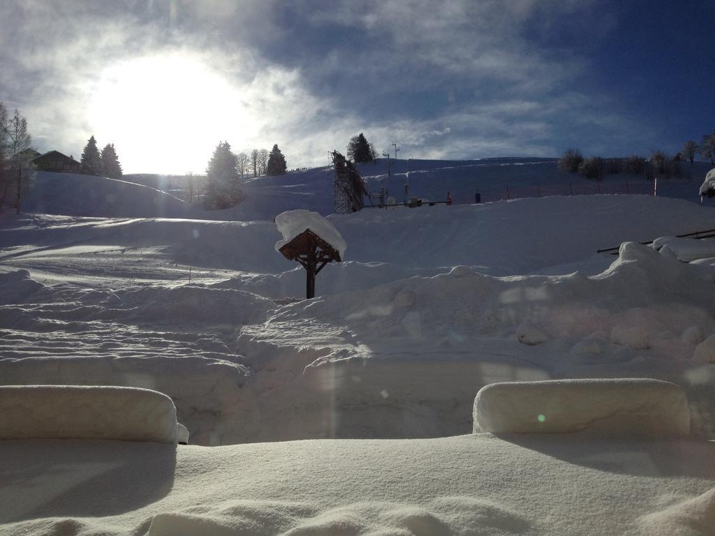 Le Caprice Des Neiges Otel Crest-Voland Dış mekan fotoğraf