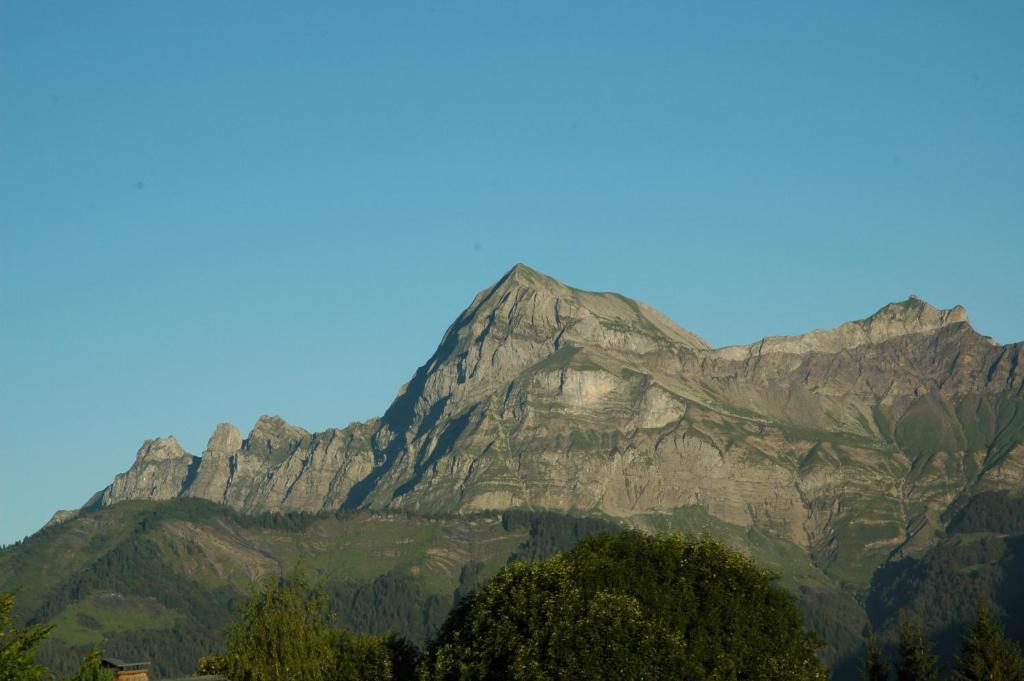Le Caprice Des Neiges Otel Crest-Voland Dış mekan fotoğraf